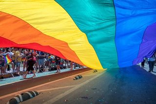 Gay struggle offers new window on Berlin Wall's fall