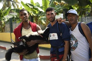 Migrant, with dog, crosses 8 countries en route to US
