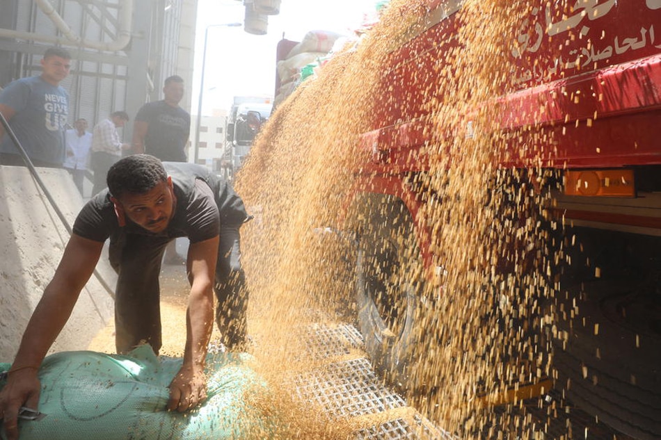 Workers unload wheat at the Banha grain silos, in Qalyubia Governorate, Egypt, May 25, 2022. Khaled Elfiqi, EPA-EFE/File 