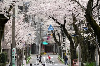 Japan starts visa process for restart of tourism as COVID worries wane