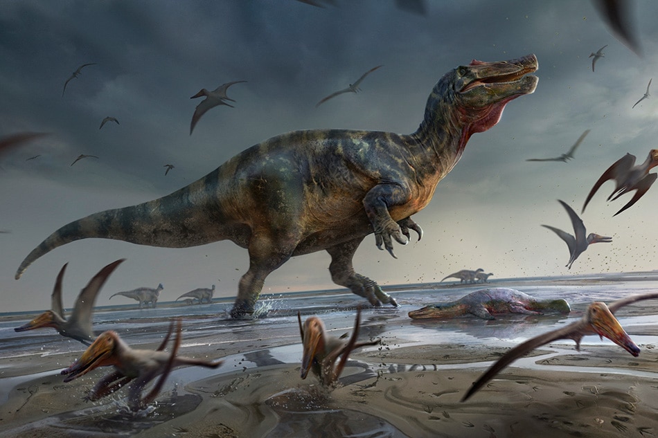 This handout document released by the University of Southampton on June 8, 2022 shows an artist’s reconstruction of the “White Rock spinosaurid” on the sandflats of the Vectis Formation (Isle of Wight, UK), claiming a washed up plesiosaur from some scavenging pterosaurs. Anthony Hutchings / University of Southampton / AFP