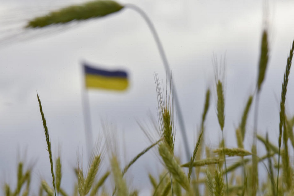 Ukraine, a major exporter of grain, especially corn and wheat, has seen its production blocked by Moscow's military offensive, sparking a surge in prices and fears of food shortages. EPA-EFE/file