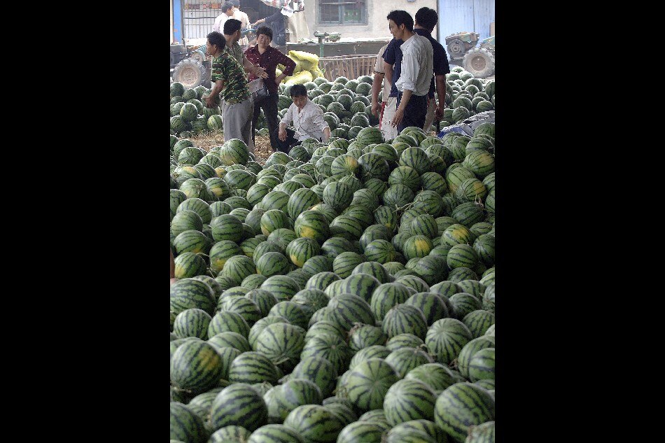 Customers check out the watermelons at a market in Hefei, central China's Anhui province. Agence France-Presse file photo