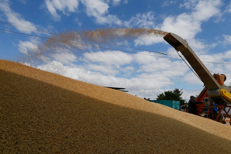 Ukrainian farmers load grain of barley and wheat at a magazine after harvest in Odesa area, Southern Ukraine, on June 23, 2022. EPA-EFE/STR ]