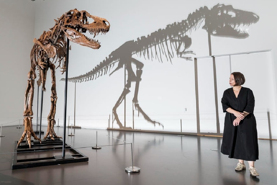 Cassandra Hatton, Sotheby's Global Head of Science and Popular Culture, walks past a full skeleton of a Gorgosaurus dinosaur on display at Sotheby’s auction house as part of a preview of an upcoming Natural History auction in New York, New York, USA, 05 July 2022. The dinosaur fossil – which is almost 10 feet tall and is one of the only full skeletons to be offered for sale since 1997 – will be auctioned on July 28, 2022 in New York and is expected to sell for an estimated $5 million to $8 million. Justin Lane, EPA-EFE