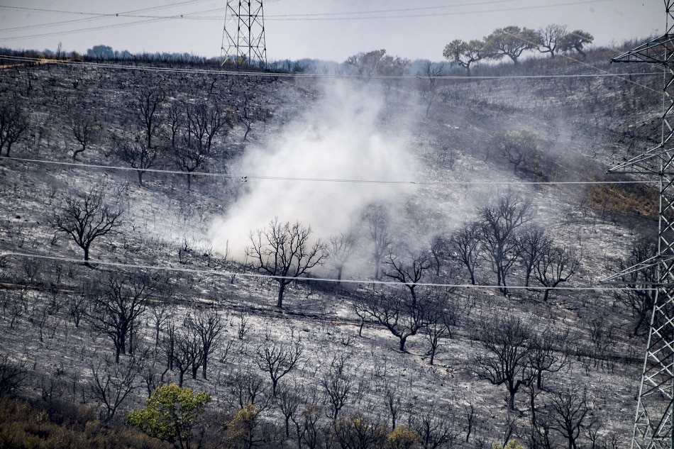 View of a burnt area during a forest fire near the town of Deleitosa, Spain, 17 July 2022. Several forest fires are affecting western Spain amid a heat wave with temperatures reaching above 40 degrees Celsius. Ismael Herrero, EPA-EFE