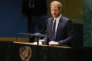 World democracy freedom under assault — Prince Harry