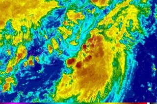 Typhoon Meari to make landfall near Tokyo