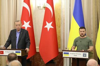 Erdogan throws Turkey's support behind Ukraine