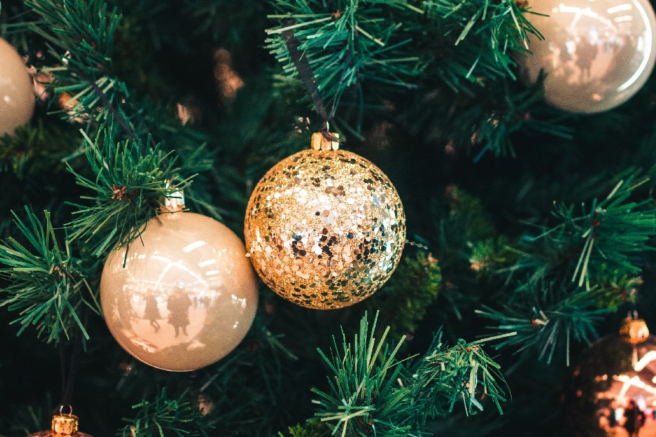Photo by Hert Niks on Unsplash