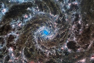Webb telescope captures new detail of Phantom Galaxy