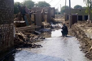 Pakistan farmers count flood damage
