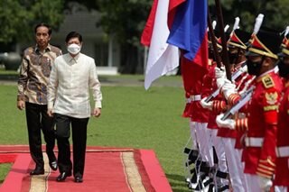 PH, Indonesia working for ASEAN to be 'lead agent' in regional peace
