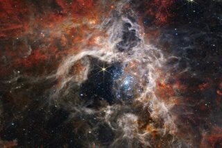 LOOK: NASA's Webb telescope catches Tarantula Nebula