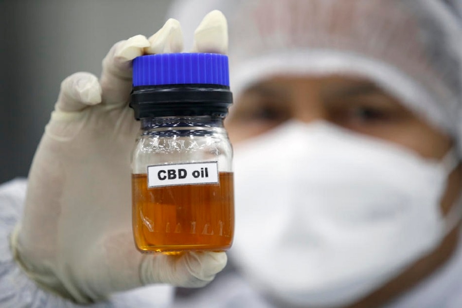 A pharmaceutical scientist shows Cannabidiol or CBD oil after extraction and used to produce cannabis infused Thai traditional medicine at a production plant, in Pathum Thani province, Thailand, September 8, 2022. Rungroj Yongrit, EPA-EFE/file