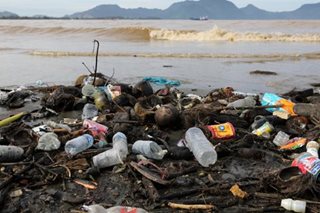 Plastic-gobbling enzymes may help ease pollution
