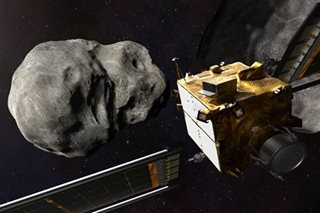 New potentially hazardous asteroid discovered