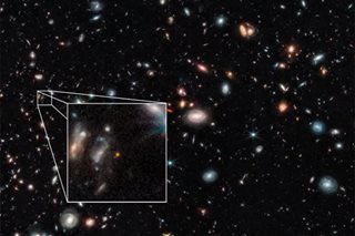 Webb observations point to a shorter cosmic dark age