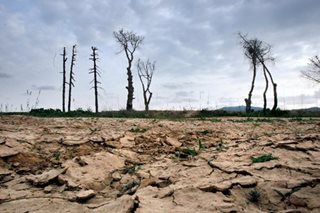 Barcelona to impose water restrictions due to drought