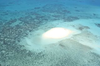 Great Barrier Reef risks 'in danger' World Heritage listing