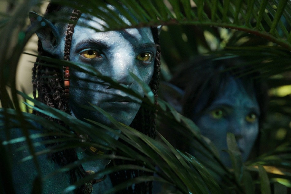 Avatar sequel criticised over films unbelievable runtime as reviews flood  in