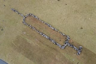 Flock of sheep form syringe shape in COVID jab push