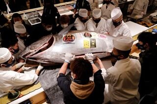 One expensive sashimi