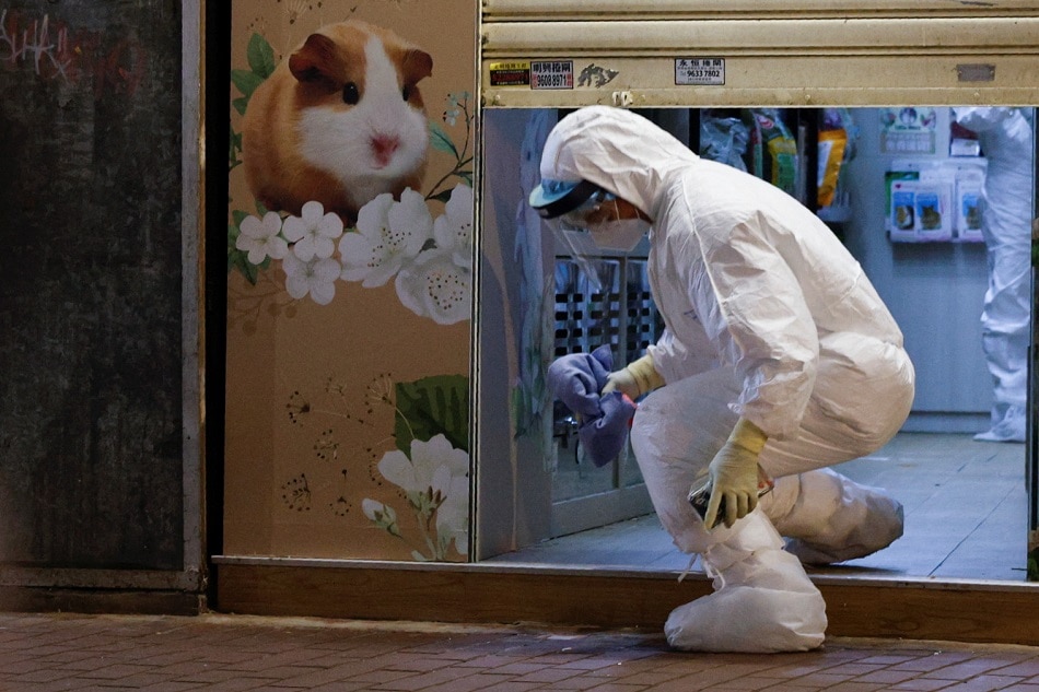 A wildlife officer leaves a temporarily closed pet shop, after the government announced to euthanize around 2,000 hamsters in the city after finding evidence for the first time of possible animal-to-human transmission of COVID-19, in Hong Kong, China, January 18, 2022. Tyrone Siu, Reuters