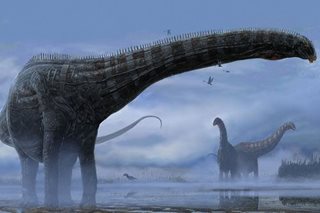The sad and sorry story of Dolly the diseased and doomed dinosaur