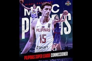 Pingris becomes Pilipinas Super League commissioner