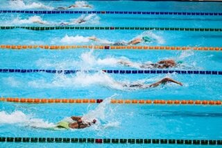 New US swim policy could impact transgender athlete
