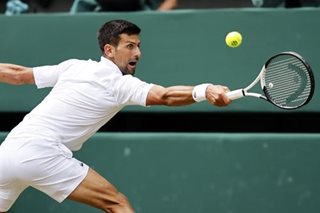 Djokovic rallies to reach Wimbledon semifinal