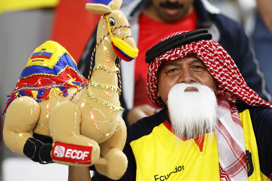 Desert madness in the World Cup