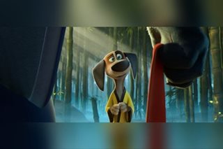 'Paws of Fury' stars on resilience, overcoming prejudices