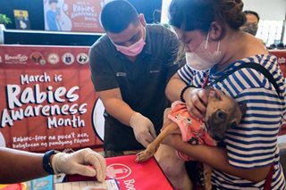Philippines logs 55 rabies deaths as of Feb 25