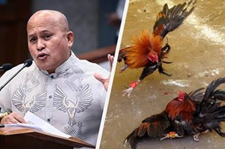 Dela Rosa: I-regulate ang e-sabong imbes na ipahinto