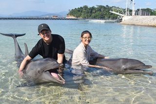 LOOK: Liza, Enrique interact with dolphins in Subic
