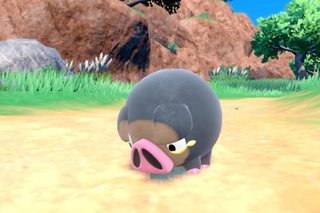 TINGNAN: Bagong Pokemon pinangalanang Lechonk