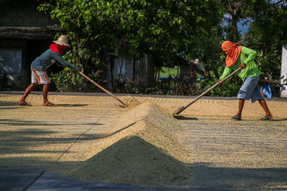 Das Rice Price Fix Higher Agri Budget Bigger Buffer Stock Abs Cbn News