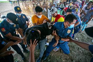 Tarlac court junks charges against 'Tinang 83'