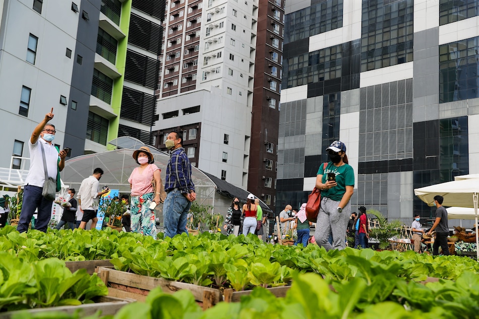 Members of the media look at the BGC Urban Farm in Taguig on March 24, 2022 set up by in conjunction with the local government and advocacy groups to promote urban farming. Jonathan Cellona, ABS-CBN News