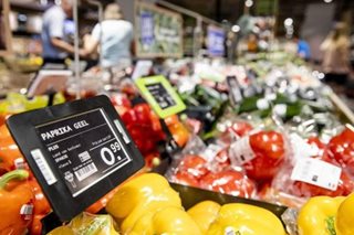 'Fruits, veggies better for planet but chips have low environmental impact'
