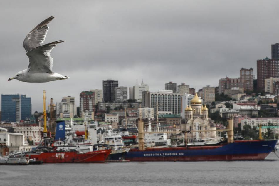 A Seagull flies in front of Pacific port-city Vladivostok, Russia, 05 September 2022. Russian far-eastern city of Vladivostok hosts the Eastern Economic Forum 2022 from 05 to 08 September. EPA-EFE/YURI KOCHETKOV