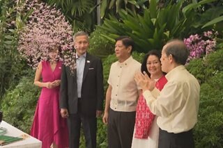 Orchid, ipinangalan kay Marcos Jr., First Lady sa Singapore state visit