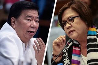 Drilon asks judge to allow house arrest for De Lima