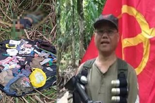 Suspected NPA leader killed in clash in Negros Occ: AFP