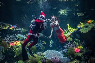THE DAY IN PHOTOS: December 21, 2022