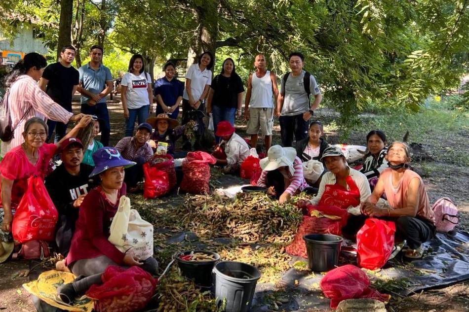 Unilever has partnered with 800 smallholder sampalok farmers across the country to help promote sustainable agriculture practices while improving their livelihoods. Photo source: Unilever