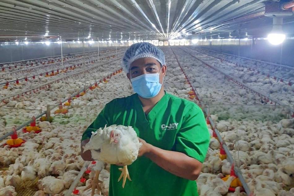 Joy Poultry Meats Production Incorporated, a joint venture between Jollibee Group and Cargill and one of the largest poultry processing plants in the Philippines, was awarded an NSF Animal Welfare Certification by the National Chicken Council (NCC) of the United States of America for exemplary compliance with the standards and guidelines provided by the NCC Animal Welfare Guidelines. Photo Source: Jollibee Group