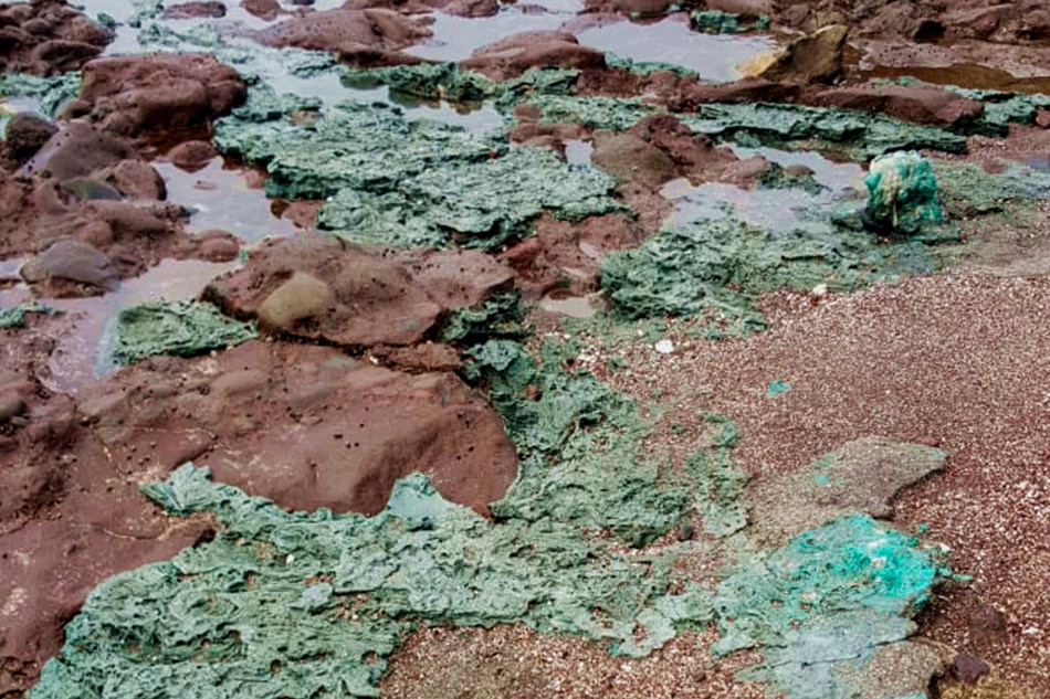 This handout picture released by the Parana Federal University (UFPR) shows 'plastic rocks' found at the Trindade Island, Espirito Santo state, Brazil, on September 2, 2022, that are part of a scientific research handled by scientists of the UFPR. There are few places on Earth as isolated as Trindade island, a volcanic outcrop a three- to four-day boat trip off the coast of Brazil. So geologist Fernanda Avelar Santos was startled to find an unsettling sign of human impact on the otherwise untouched landscape: rocks formed from the glut of plastic pollution floating in the ocean. Fernanda AVELAR / Parana Federal University / AFP